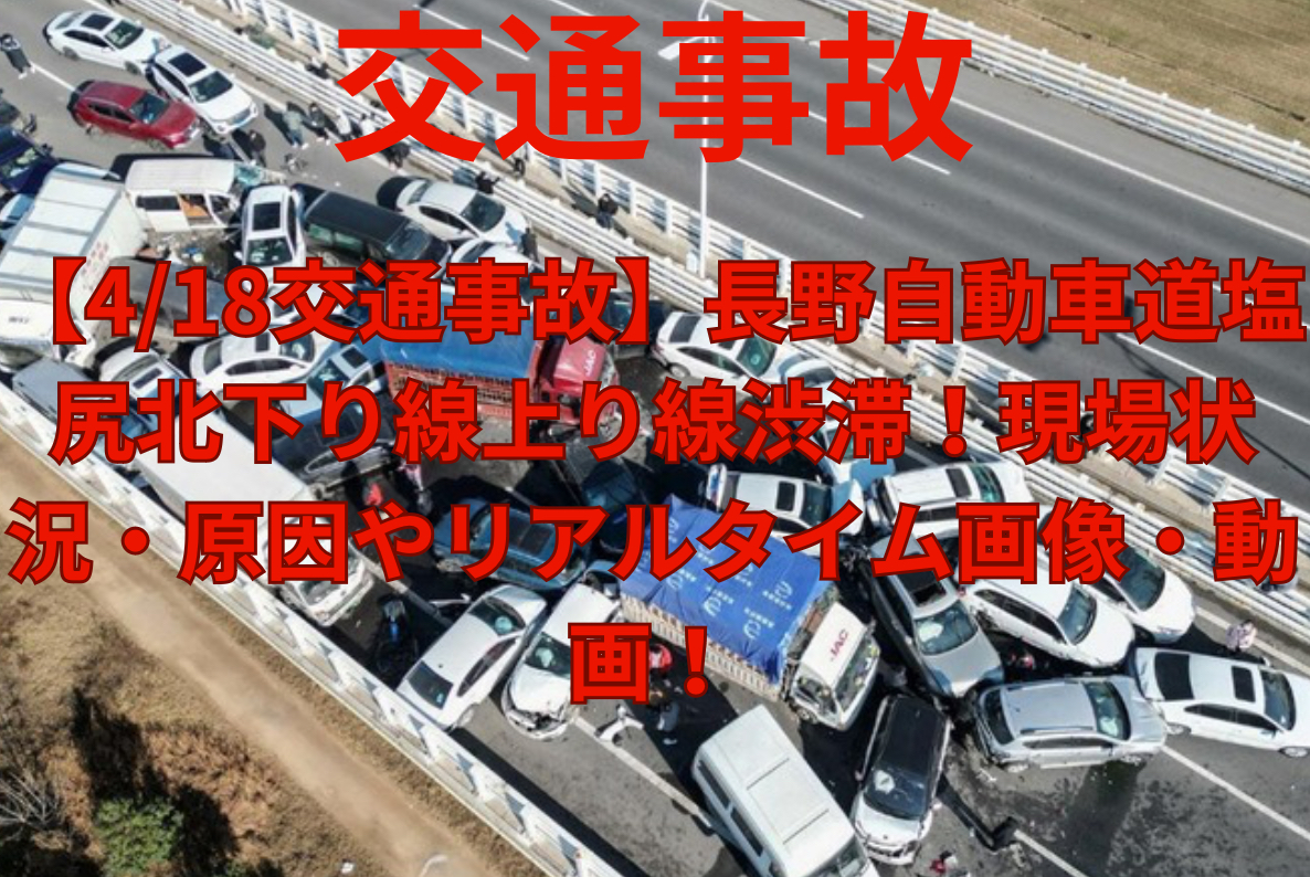 長野自動車道事故